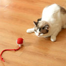 Bolinha Automática Caça Eletrônica - FurFriends