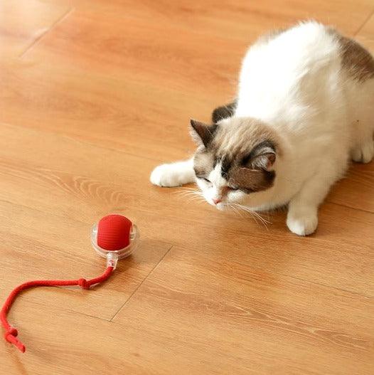 Bolinha Automática Caça Eletrônica - FurFriends