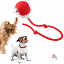 Bolinha Automática Caça Eletrônica - FurFriends