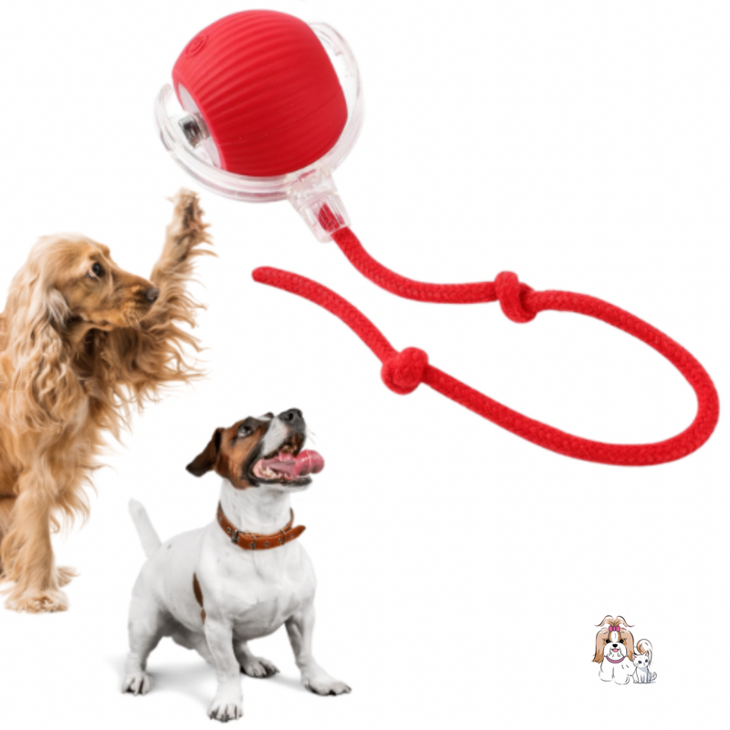 Bolinha Automática Caça Eletrônica - FurFriends