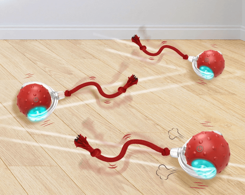 Bolinha Automática Caça Eletrônica - FurFriends