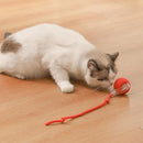 Bolinha Automática Caça Eletrônica - FurFriends