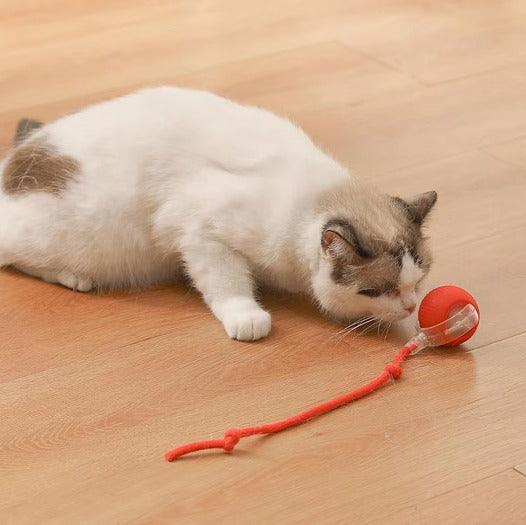 Bolinha Automática Caça Eletrônica - FurFriends